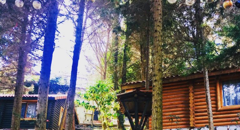 Ağva Orman Evleri Geziyoo