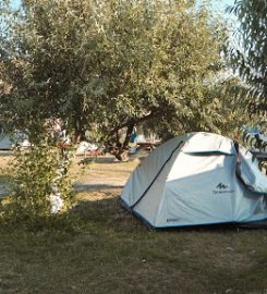 Yıldız Koy Arkadia Kamp Alanı