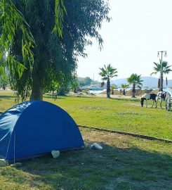 Zetaş Camping