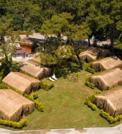 Green Pine Beach & Bungalows