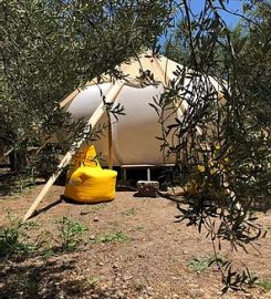 Kozluyalı Glamping