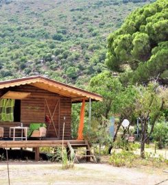 Kocabahçe Glamping