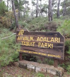 Ayvalık Adaları Kamp Alanı