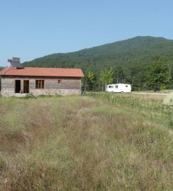 Darıdere Tabiat Parkı Kamp Alanı