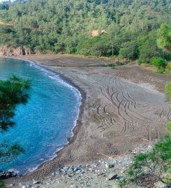 Maden Koyu Kamp Alanı