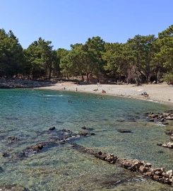 Phaselis Kamp Alanı