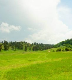 Sarıalan Yaylası Kamp Alanı