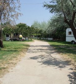 Aldırmaz Camping