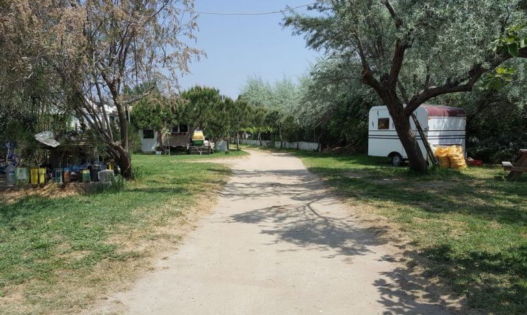 Aldırmaz Camping