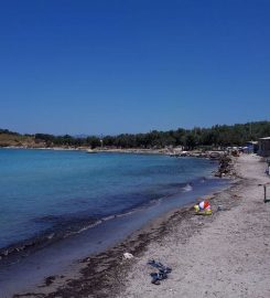 Ali Babanın Yeri (Barcelona Beach)