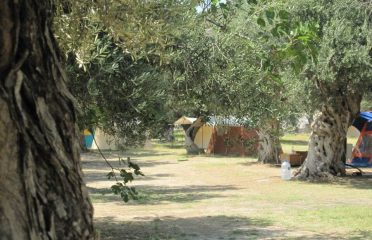 Antandros Camping
