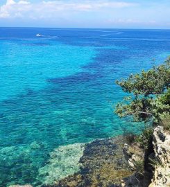 İzmir Dolungaz Koyu Kamp Alanı