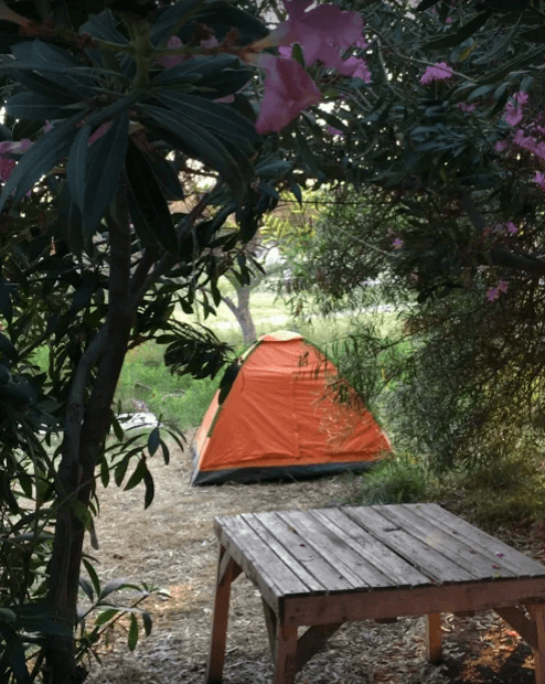 Sazlıca Yaren Camping