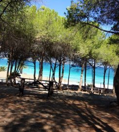 Tanay Tabiat Parkı Kamp Alanı