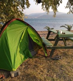 Torasan Camping