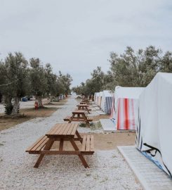 Zeus Beach & Camping