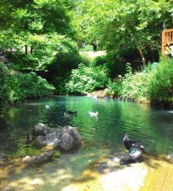 Yerköprü Kanyonu Kamp Alanı