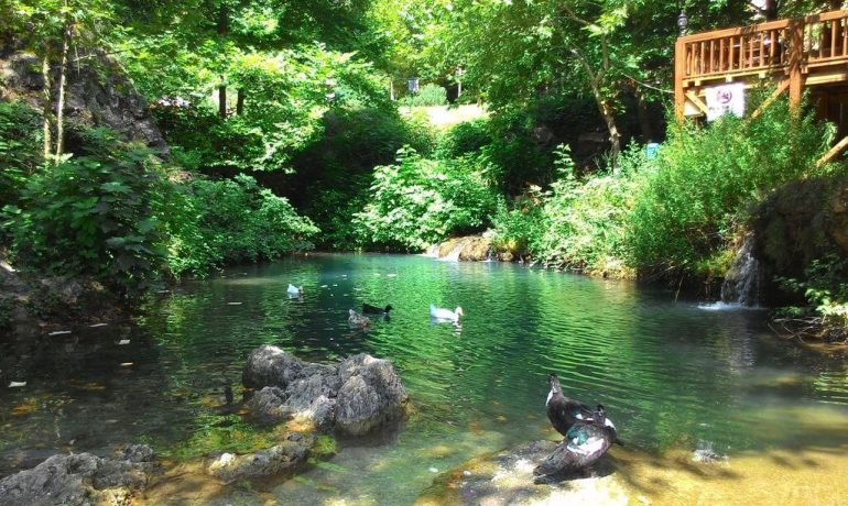 Yerköprü Kanyonu Kamp Alanı