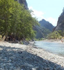 Belemedik Tabiat Parkı Bungalov Evleri