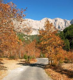 Belemedik Tabiat Parkı Bungalov Evleri