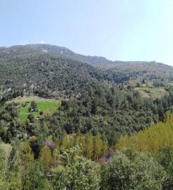 Belemedik Tabiat Parkı Bungalov Evleri