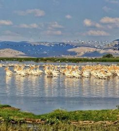 Eber Gölü Kamp Alanı