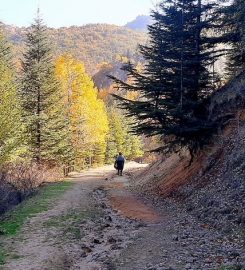 Erkmen Tabiat Parkı Kamp Alanı