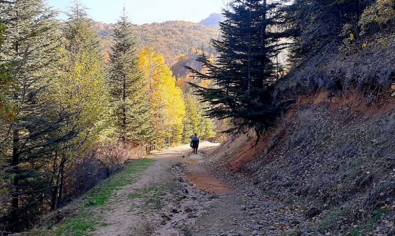 Erkmen Tabiat Parkı Kamp Alanı