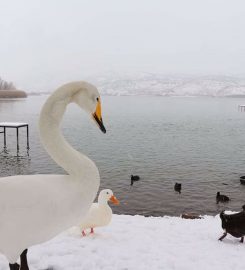 Gölbaşı Gölleri Tabiat Parkı Kamp Alanı