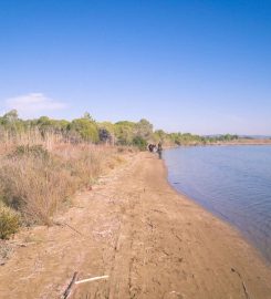 Lagünü Milli Parkı Kamp Alanı