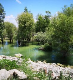 Yedikır Baraj Gölü Kamp Alanı