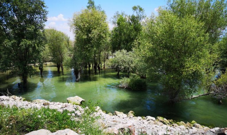 Yedikır Baraj Gölü Kamp Alanı