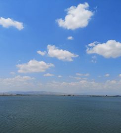 Yedikır Baraj Gölü Kamp Alanı