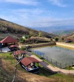 Dereli Havuzbaşı Mesire Ve Kamp Alanı