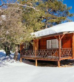 Abant Camping (Tiny House)