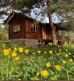 Urla Tiny House Köyü