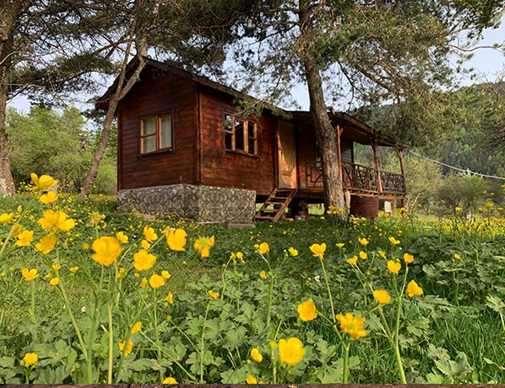 Urla Tiny House Köyü