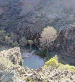 Alicin Manastırı Kamp Alanı