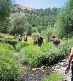 Alicin Manastırı Kamp Alanı