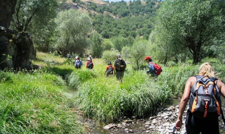 Alicin Manastırı Kamp Alanı