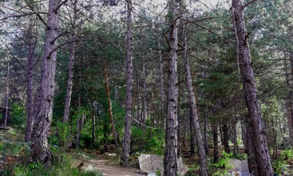 Amasya Kent Ormanı Kamp Alanı