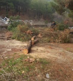 Amasya Kent Ormanı Kamp Alanı