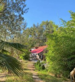 Charming Ecologic Tiny House