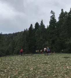 Gebeler Köyü Yaylası Kamp Alanı