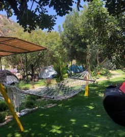 Harnup Camping