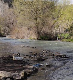 Ihlara Vadisi Kamp Alanı