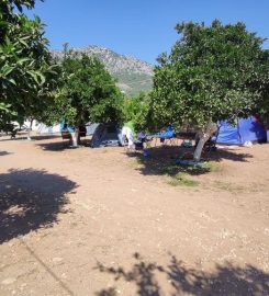 Masal Bahçesi Camping