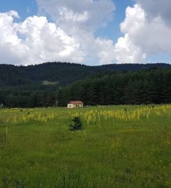 Şahinler Tabiat Parkı Kamp Alanı