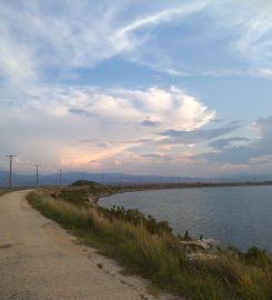 Yedikuğular Kuş Cenneti Kamp Alanı