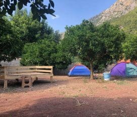 Yörük Obası Adrasan Kamp